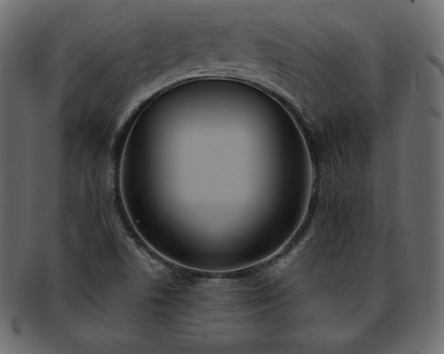 X0000093361506200710191047