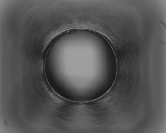 X0000093361507200710191047