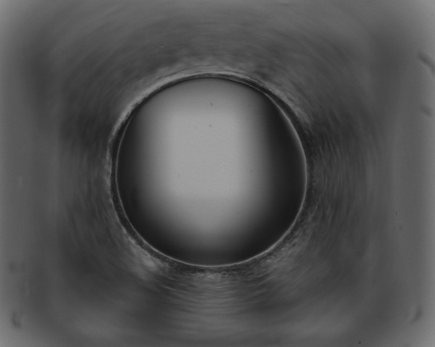 X0000093361508200710191047