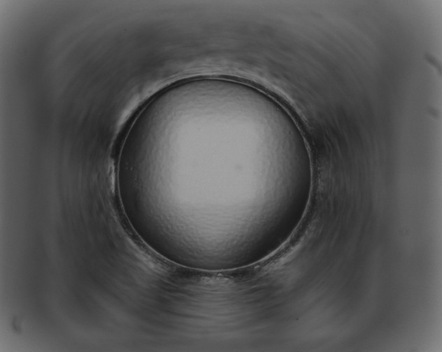 X0000093361509200710191047