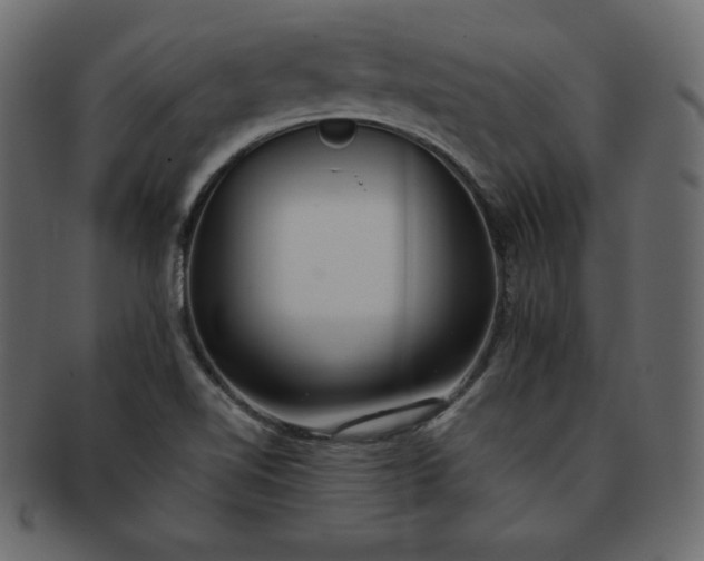 X0000093361510200710191047