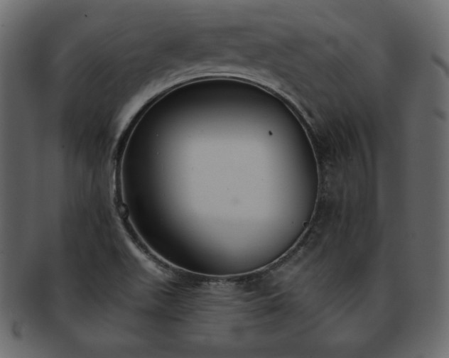 X0000093361511200710191047