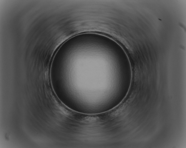 X0000093361513200710191047