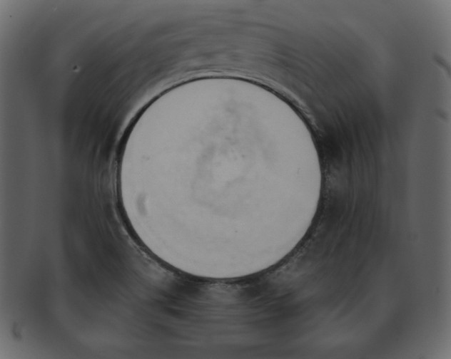 X0000093361514200710191047