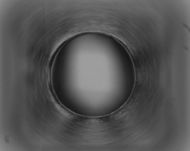 X0000093361515200710191047