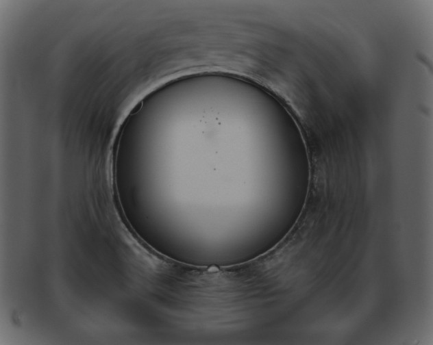 X0000093361516200710191047