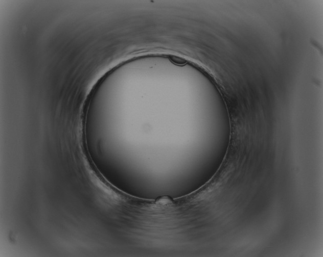 X0000093361518200710191047