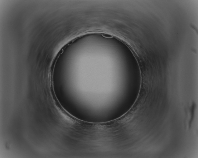 X0000093361519200710191047
