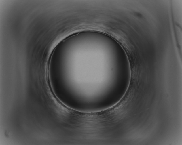 X0000093361520200710191047