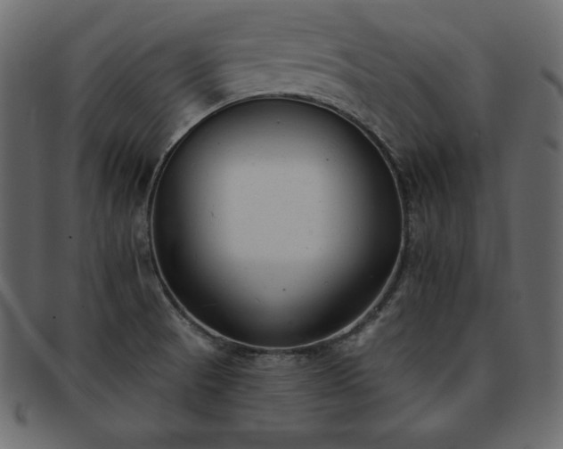 X0000093361521200710191047
