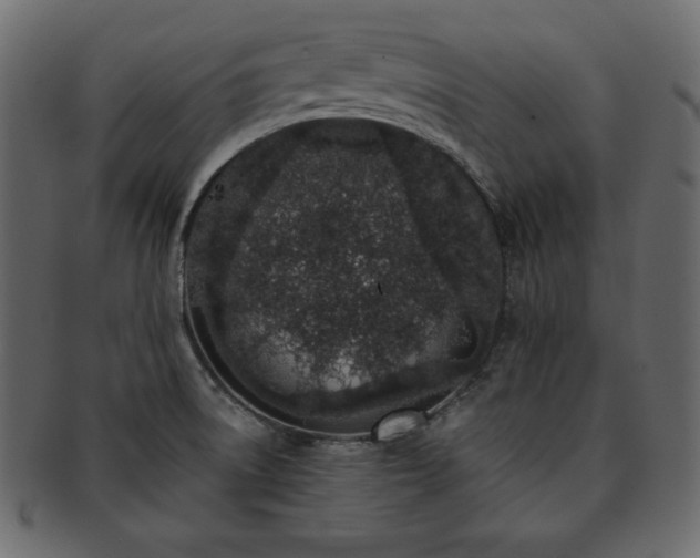 X0000093361522200710191047