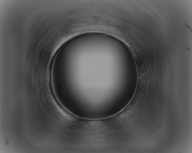 X0000093361523200710191047