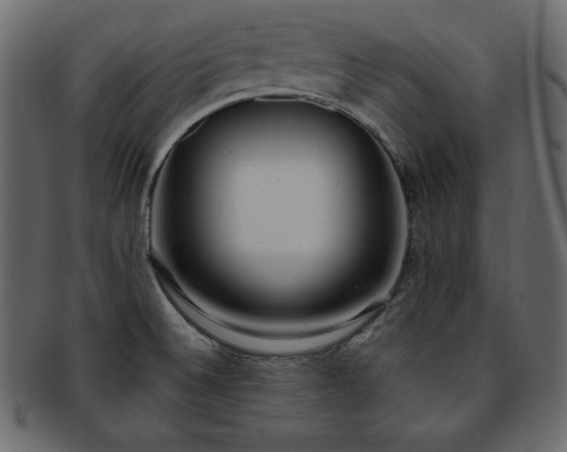 X0000093361524200710191047