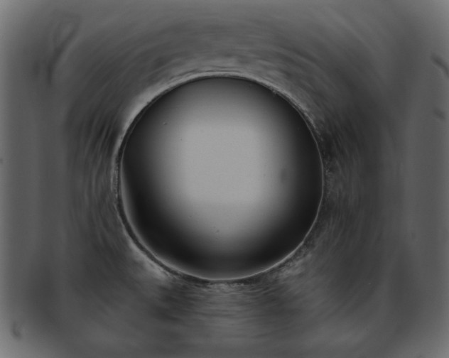 X0000093361527200710191047
