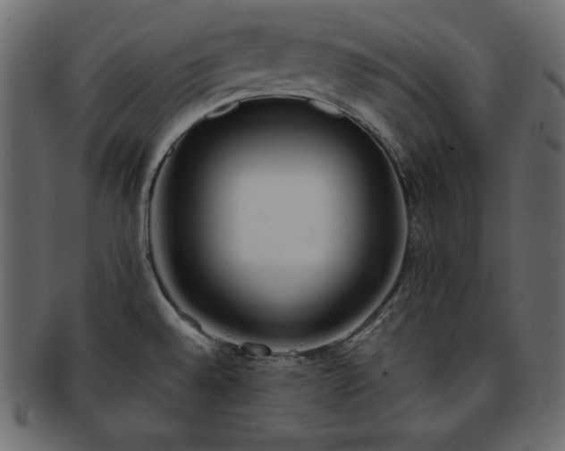 X0000093361528200710191047