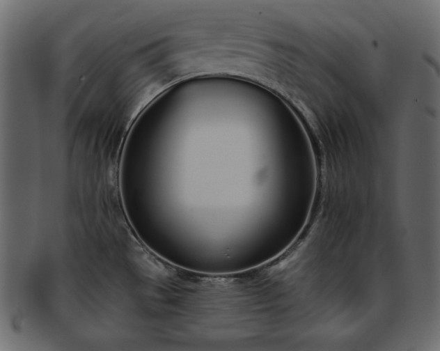 X0000093361529200710191047