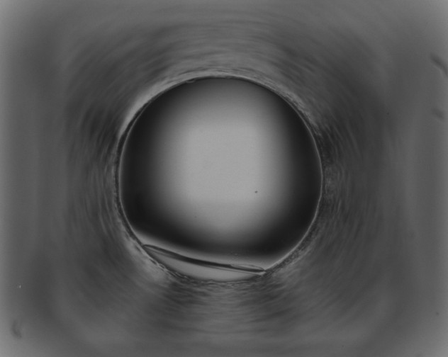 X0000093361530200710191047