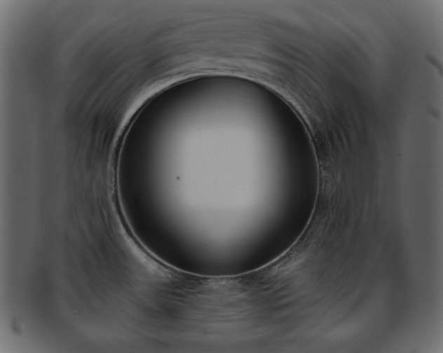 X0000093361531200710191047