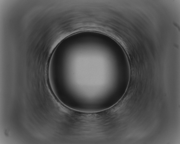 X0000093361533200710191047