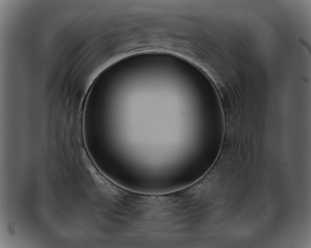 X0000093361534200710191047