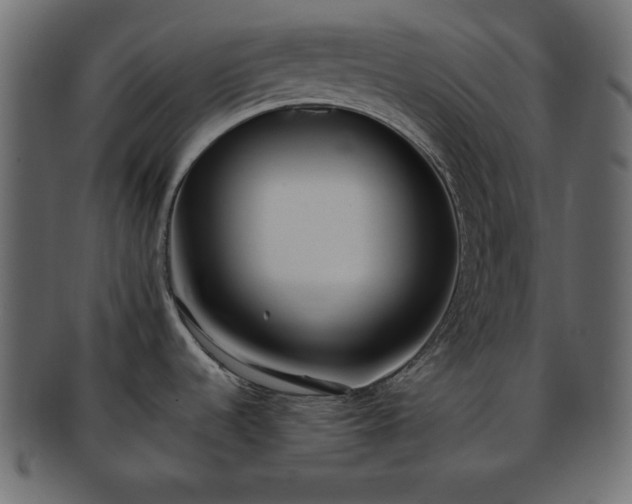 X0000093361536200710191047