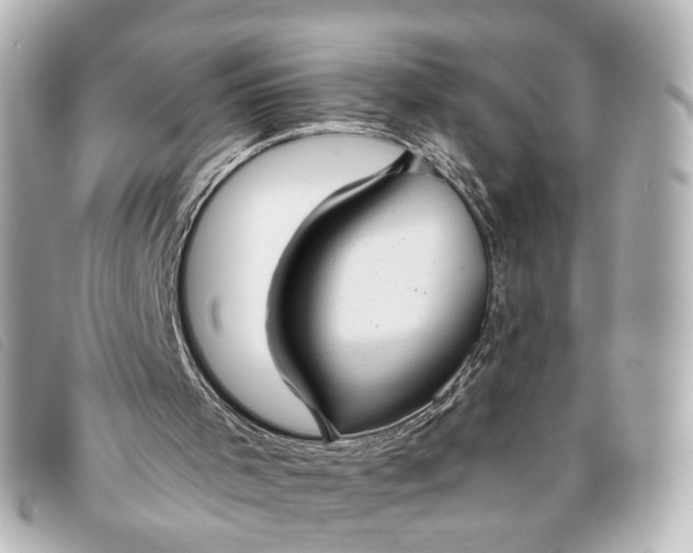 X0000093360001200710251142