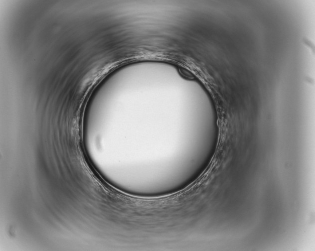 X0000093360002200710251142