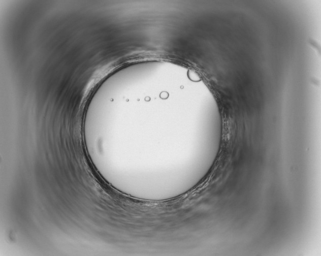 X0000093360004200710251142