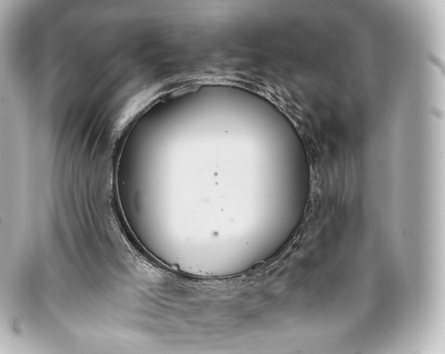 X0000093360005200710251142