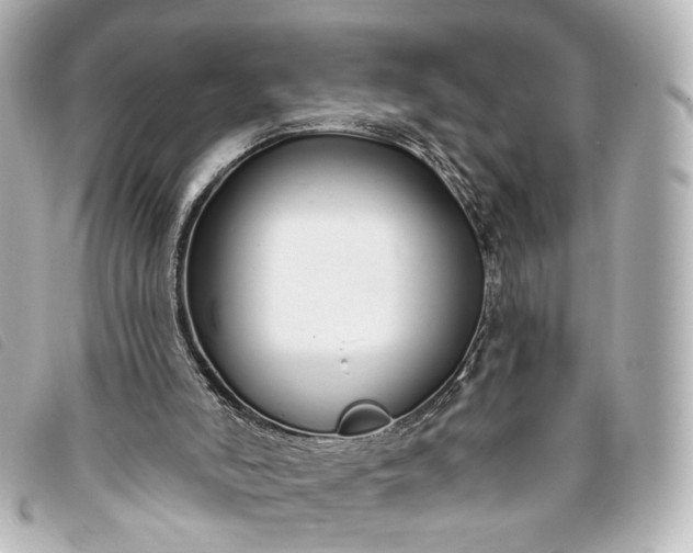 X0000093360006200710251142