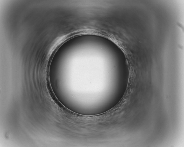 X0000093360007200710251142