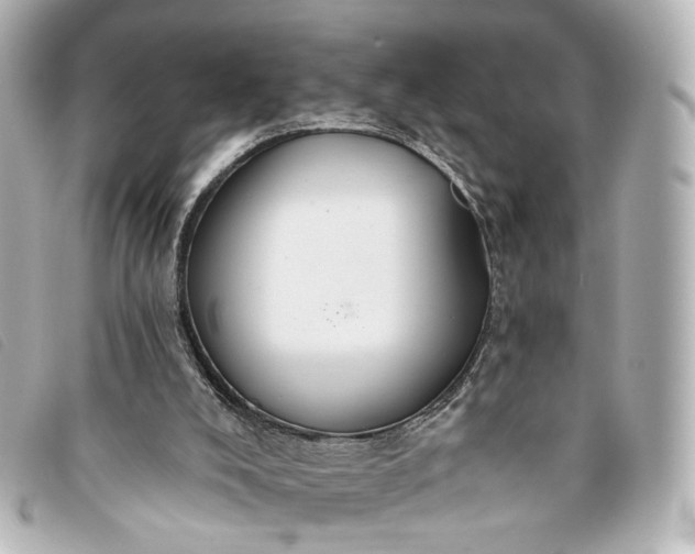 X0000093360008200710251142