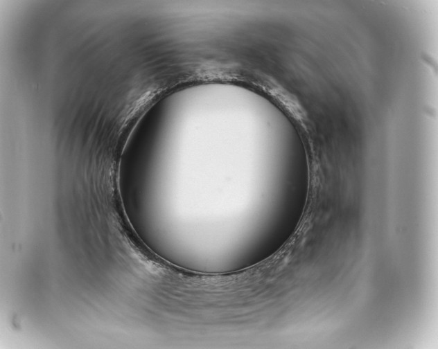 X0000093360009200710251142