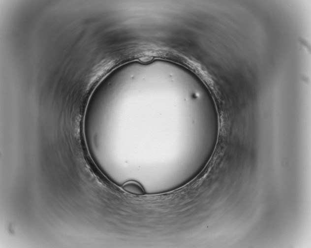 X0000093360010200710251142