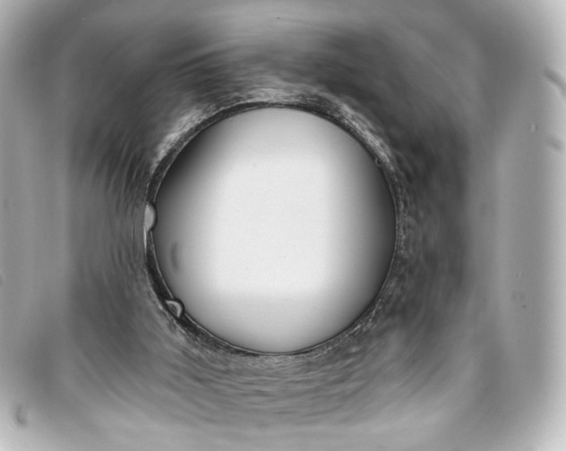 X0000093360011200710251142