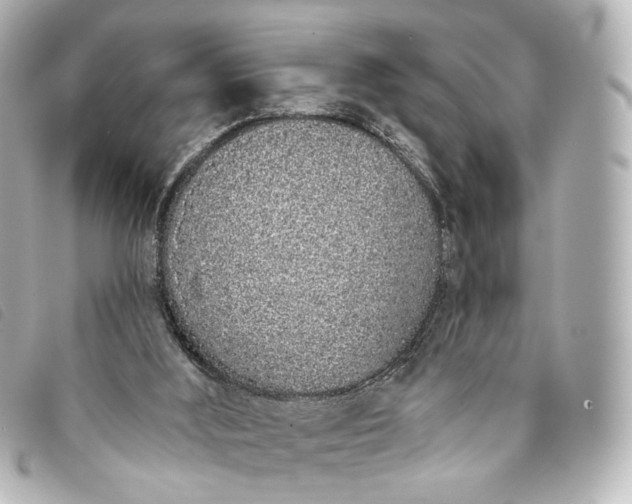 X0000093360012200710251142