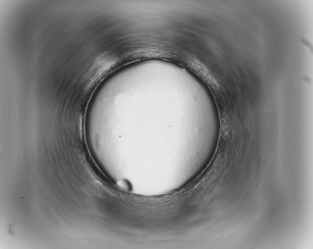 X0000093360014200710251142