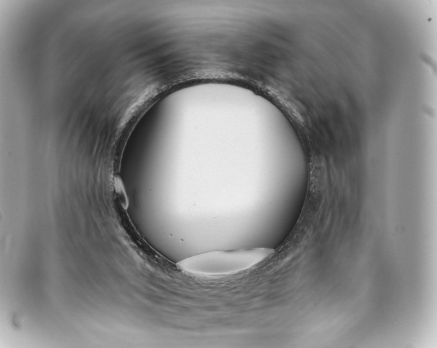 X0000093360015200710251141