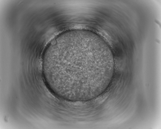 X0000093360016200710251141
