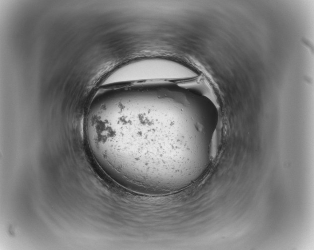 X0000093360019200710251141