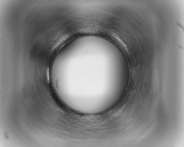 X0000093360020200710251141