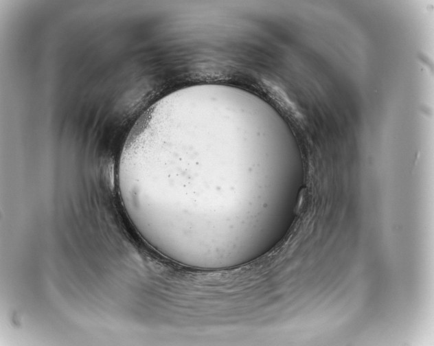 X0000093360021200710251141