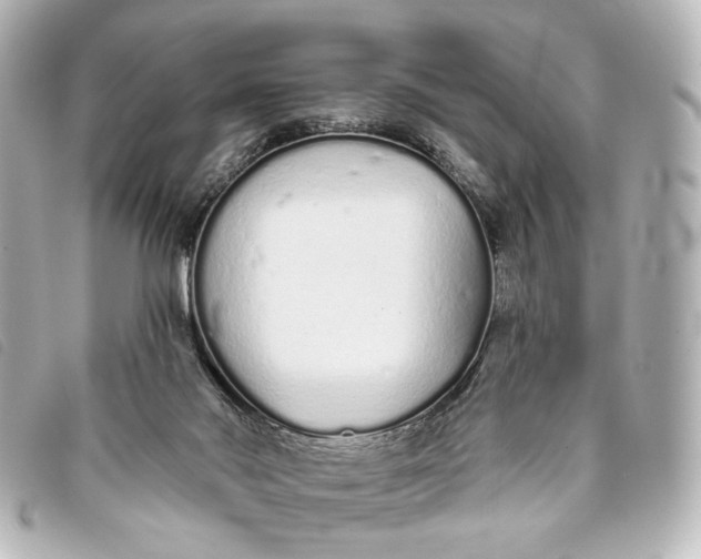 X0000093360022200710251141