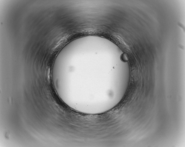 X0000093360024200710251141