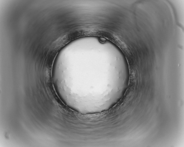 X0000093360026200710251141