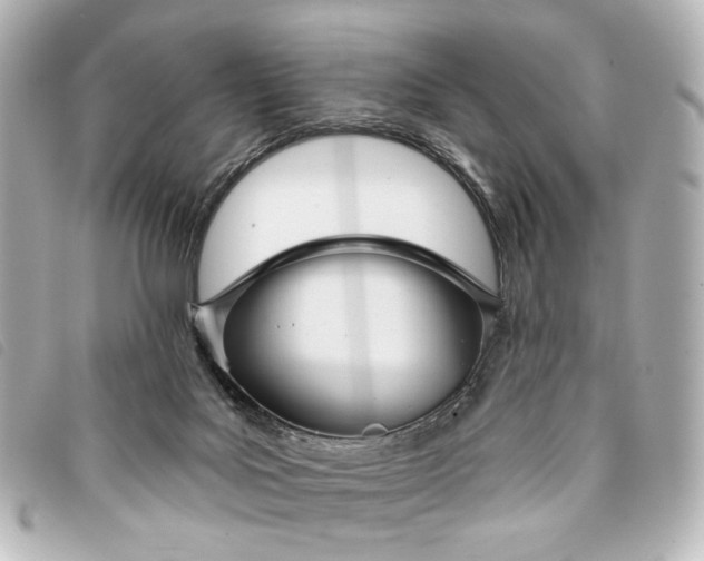 X0000093360027200710251141