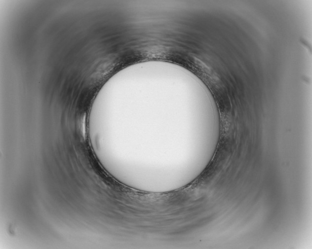 X0000093360028200710251141
