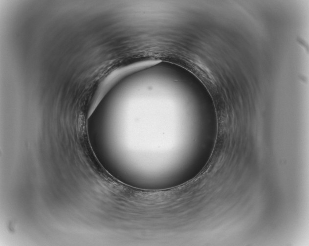 X0000093360029200710251141