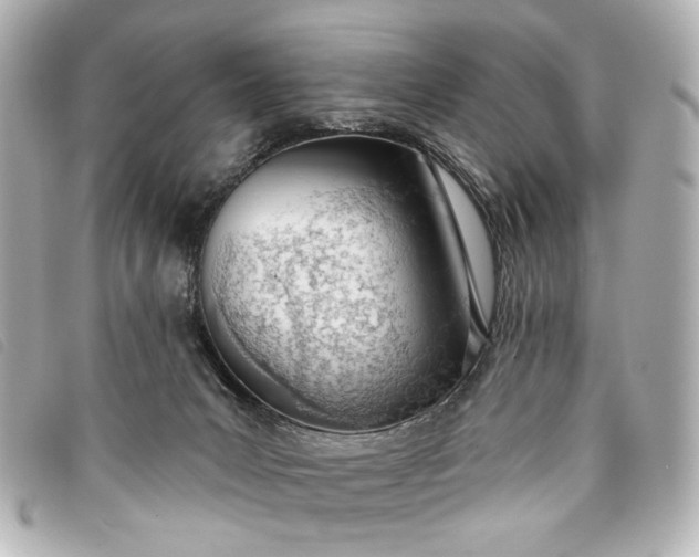 X0000093360031200710251141