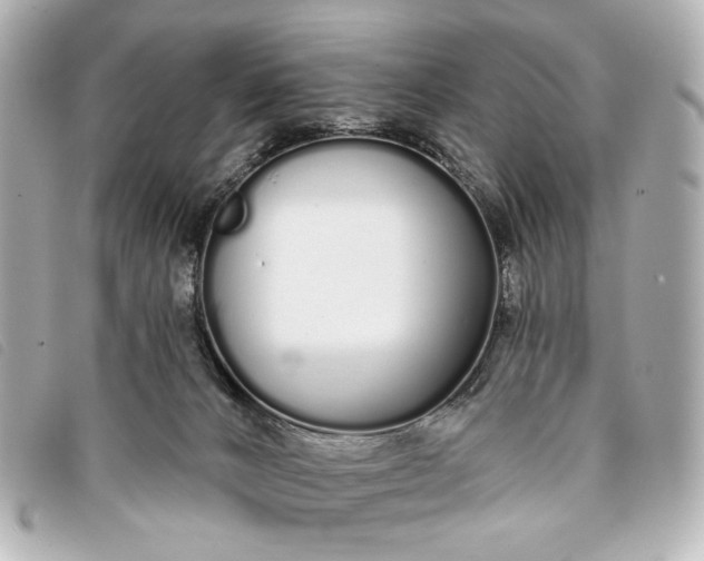 X0000093360032200710251141